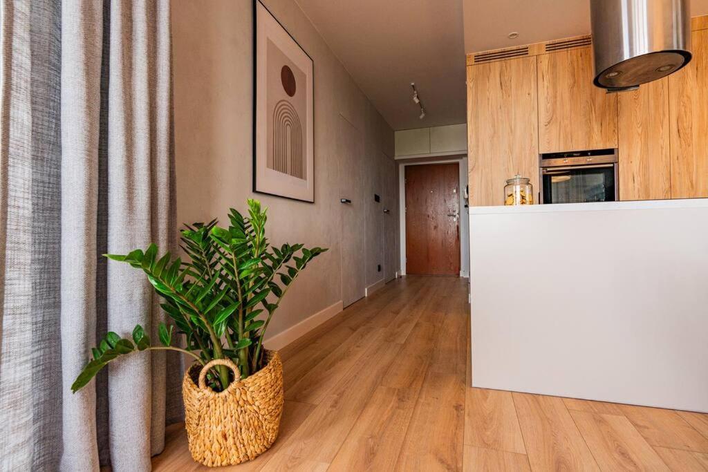 Apartament Na Grabiszynskiej Βρότσλαβ Εξωτερικό φωτογραφία